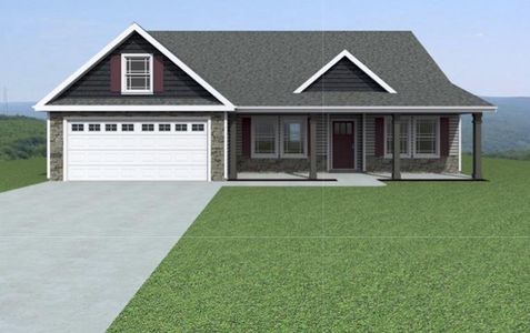 New construction Single-Family house 580 Adventure Isla Wy, Campobello, SC 29322 - image