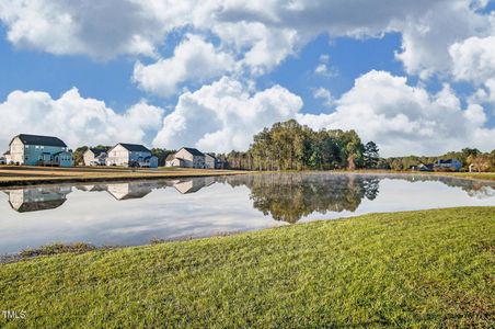 New construction Single-Family house 1609 Golden Sundew Dr, Unit 160, Willow Spring, NC 27592 null- photo 52 52