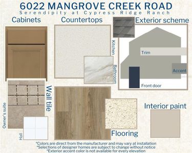 New construction Single-Family house 6022 Mangrove Creek Rd, Wimauma, FL 33598 Serendipity- photo 2 2