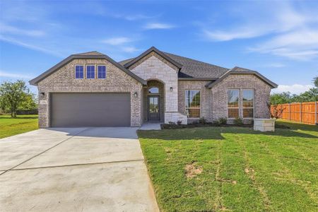 New construction Single-Family house 321 Skeen Peak, Springtown, TX 76082 - image