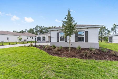 New construction Single-Family house 10529 Sw 96Th Lane Rd, Ocala, FL 34481 - image 4