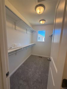 New construction Single-Family house 814 N Bently St, Watkins, CO 80137 plan The Greenbriar - image 13