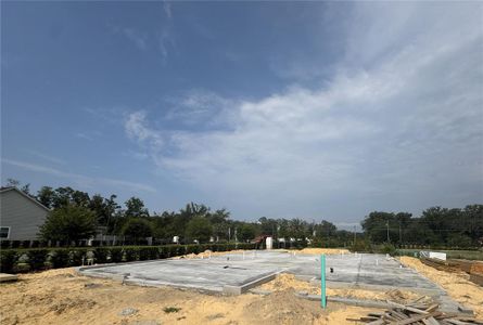 New construction Single-Family house 801 Sw 144Th Dr, Newberry, FL 32669 - image 4