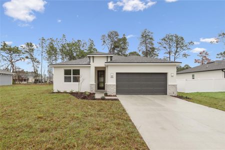 New construction Single-Family house 13143 Sw 67Th Ave, Ocala, FL 34473 Brite Sunrise- photo 0