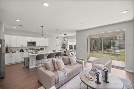 New construction Single-Family house 7030 Sw 128Th St, Ocala, FL 34473 IBIS- photo 3 3