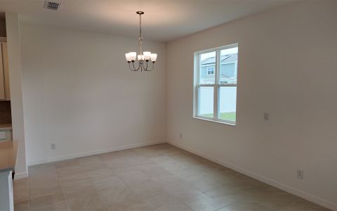 New construction Single-Family house 6888 Spanish Imperial St, Howey-in-the-Hills, FL 34737 plan Gilchrist - image 17