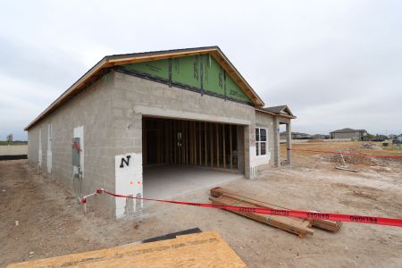 New construction Single-Family house 3142 Adams Cross Dr, Zephyrhills, FL 33540 Picasso- photo 40 40