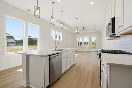 New construction Single-Family house 207 Patagonia Pl, Locust, NC 28097 plan Caroline - image 6