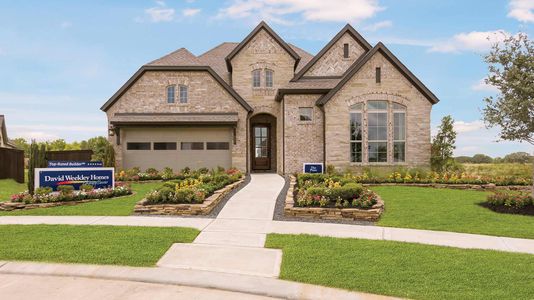 Meridiana 55' Homesites by David Weekley Homes in Manvel - photo 17 17