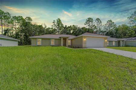 New construction Single-Family house 97 W Camino Lane, Citrus Springs, FL 34434 - photo 0