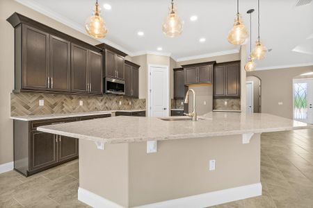 New construction Single-Family house 51 E Diamond Dr, Palm Coast, FL 32164 plan Pinehurst - image 7