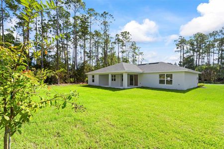 New construction Single-Family house 27 Poindexter Ln, Palm Coast, FL 32164 null- photo 54 54