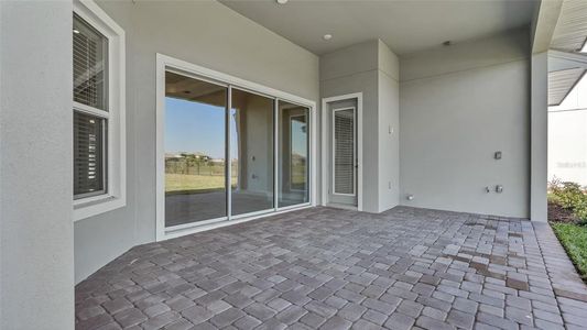 New construction Single-Family house 33759 Ocean Spray Ln, Wesley Chapel, FL 33543 null- photo 8 8