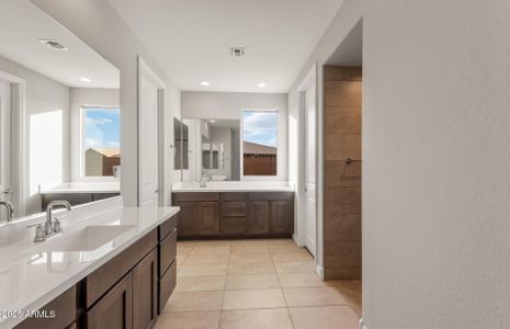 New construction Single-Family house 16735 W Whispering Wind Dr, Surprise, AZ 85387 Avelino- photo 20 20