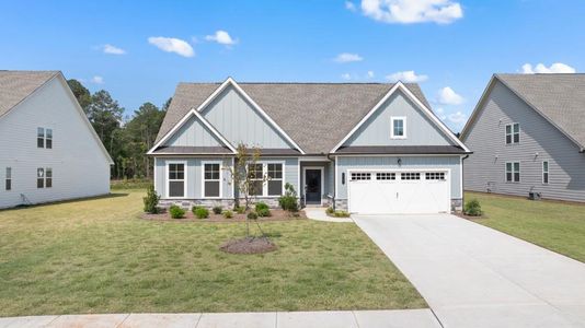 New construction Single-Family house 19 Black Rock Ridge, Sharpsburg, GA 30277 Denton- photo 0