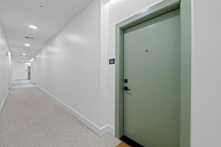 New construction Condo house 2209 S 1St St, Unit 122, Austin, TX 78704 - image 17