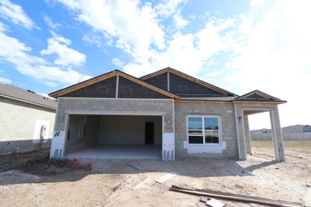 New construction Single-Family house 3142 Adams Cross Dr, Zephyrhills, FL 33540 Picasso- photo 62 62