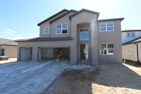 New construction Single-Family house 2350 Clary Sage Dr, Spring Hill, FL 34609 Sonoma II- photo 74 74