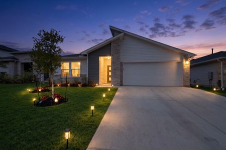 New construction Single-Family house 315 Gladiola Lp, Kyle, TX 78640 - image