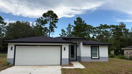 New construction Single-Family house 843 W Gage Ln, Dunnellon, FL 34434 - image
