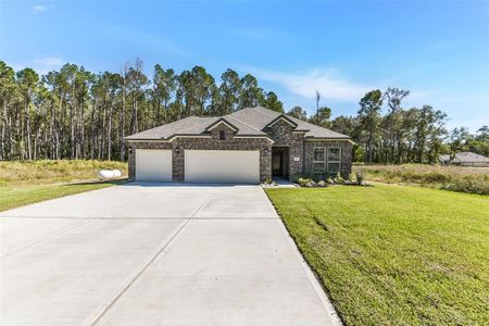 New construction Single-Family house 4036 Coast Dr, Dayton, TX 77535 plan The Austin - image