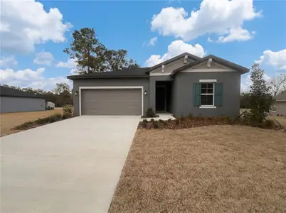 New construction Single-Family house 19654 Sw 82Nd Lp, Dunnellon, FL 34432 plan Bartik - image