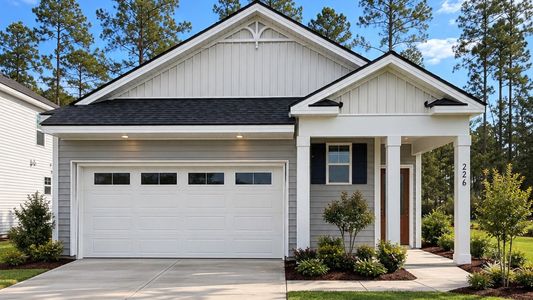 New construction Single-Family house 226 Tupelo Honey Rd, Brunswick, GA 31525 plan Desmond - image