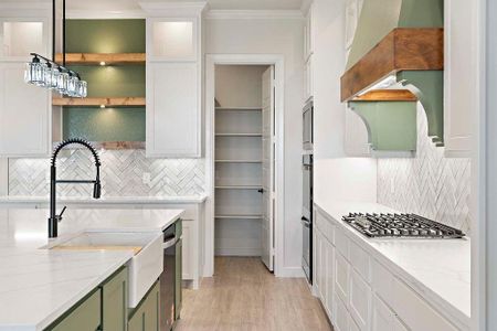 New construction Single-Family house 220 Santa Lena Ct, Decatur, TX 76234 - image 18