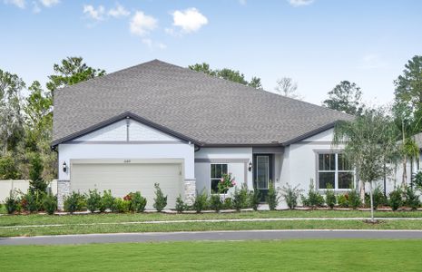 New construction Single-Family house 20876 Drake Elm Drive, Land O' Lakes, FL 34638 - photo 0