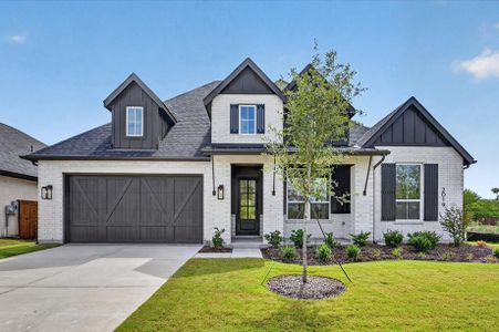 New construction Single-Family house 2019 Benedetto Wy, McLendon-Chisholm, TX 75032 plan Birchwood - image