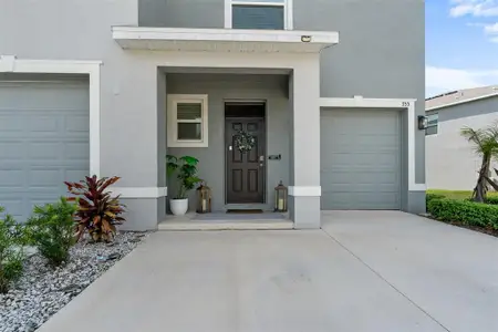 New construction Townhouse house 355 Mangrove Shade Cir, Apollo Beach, FL 33572 - image
