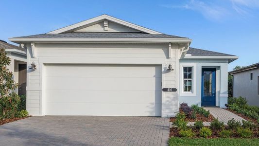 New construction Single-Family house 420 Douglas Hill Dr, Lady Lake, FL 32159 plan Ana - image