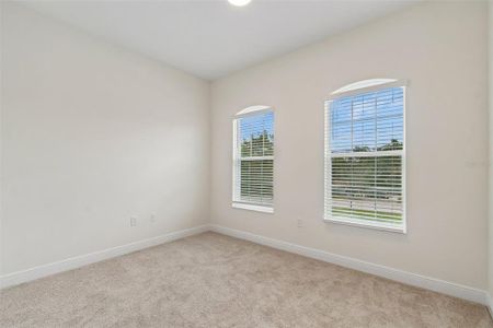 New construction Single-Family house 8283 Nittany Rd, Spring Hill, FL 34613 - image 20