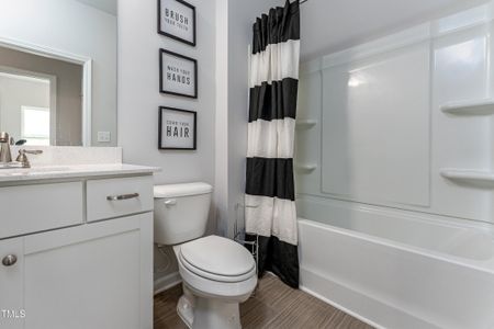 New construction Single-Family house 366 Deodora Ln, Cameron, NC 28326 - image