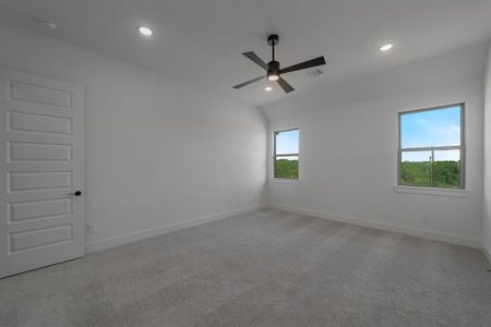 New construction Single-Family house 2004 Willy Dilly Rd, Springtown, TX 76082 null- photo 17 17