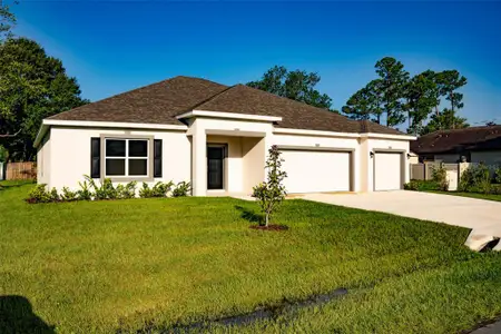 New construction Single-Family house 24 Ballard Ln, Palm Coast, FL 32137 plan Naples - image