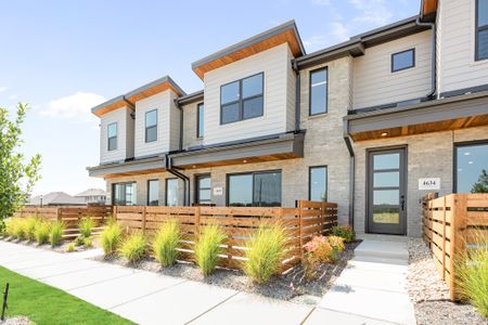 New construction Townhouse house 4638 White Buffalo Trl (Re), Oak Point, TX 75068 plan Aspen - image