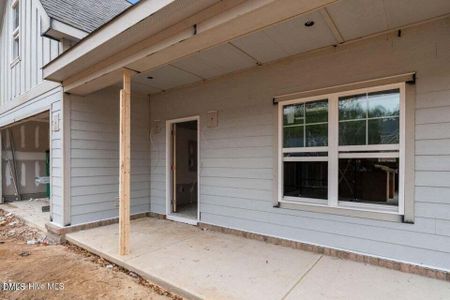 New construction Single-Family house 220 Telluride Ct, Aberdeen, NC 28315 - image