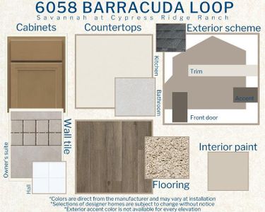 New construction Single-Family house 6058 Barracuda Lp, Wimauma, FL 33598 Savannah- photo 8 8