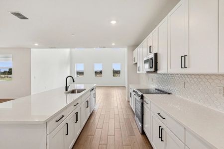 New construction Single-Family house 30129 Misty Pines Road Mt, Mount Dora, FL 32757 plan Duval II - image 7