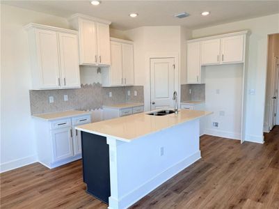 New construction Single-Family house 13622 Wolfpack Rd, Hudson, FL 34667 plan Hanover - image 4