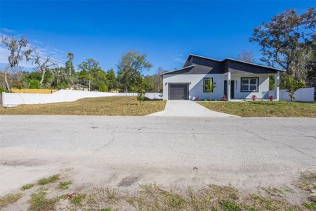 New construction Single-Family house 9912 Golden Lp, New Port Richey, FL 34654 - image