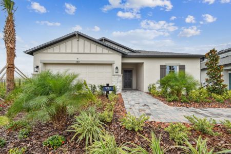 New construction Single-Family house 11843 Hilltop Farms Dr, Dade City, FL 33525 Sentinel- photo 70 70