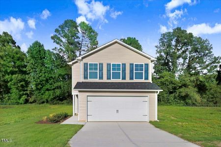 New construction Single-Family house 200 Streamlet Dr, Fremont, NC 27830 - image