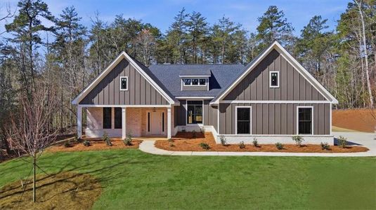 New construction Single-Family house 196 Red June Ln, Clarkesville, GA 30523 - image