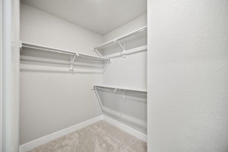 New construction Single-Family house 3089 Curly Grove, Colorado Springs, CO 80922 plan Primrose - image 18