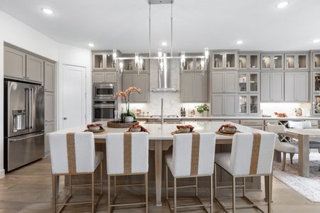 New construction Single-Family house 2036 Grey Birch Pl, Aledo, TX 76008 plan 222 - image 11