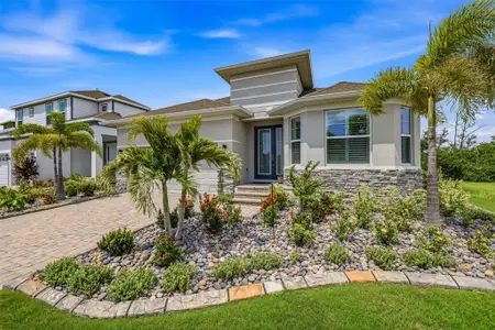 New construction Single-Family house 1065 Signet Dr, Apollo Beach, FL 33572 - image