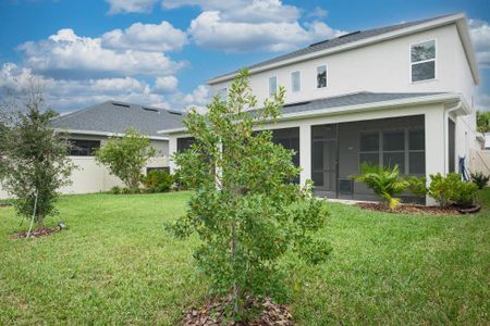 New construction Single-Family house 2612 Leafwing Ct, Palm Harbor, FL 34683 null- photo 70 70