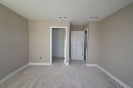 New construction Single-Family house 20131 Oriana Loop, Land O' Lakes, FL 34638 Sonoma II- photo 88 88